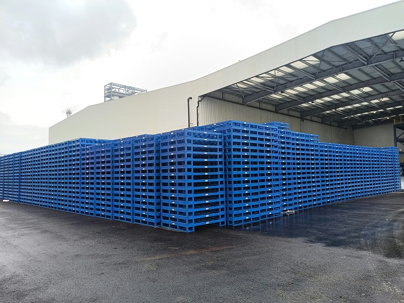 IMG_20210630_132454 IMG_20210630_132454